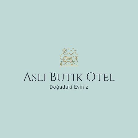 Asli Boutique Hotel อัคบุค ภายนอก รูปภาพ